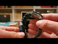 Best cheap watch under 200 - Seiko Srp605k2 Automatic
