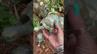 My newest addition to the garden #turtles QVC, Inc #qvc #landscapedesign #garden #turtledecor