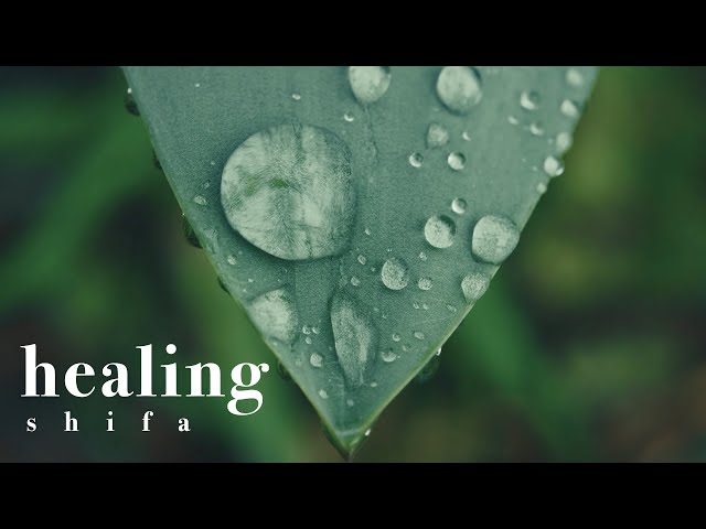 Ayat Shifa - The Healing Verses - ايات الشفاء class=