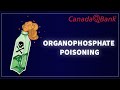 Organophosphate Poisoning Symptoms Diagnosis Antidote Treatment Emergency Med CanadaQBank Organophosphate Poisoning Symptoms Diagnosis Antidote Treatment Emergency Med CanadaQBank
