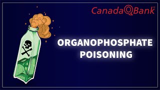 Organophosphate Poisoning by CanadaQBank 4,581 views 2 months ago 14 minutes, 1 second