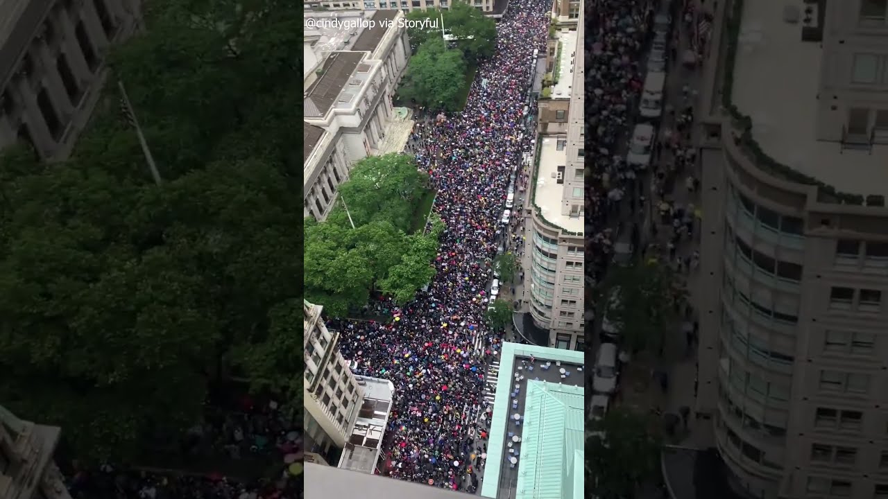  No Kings Protesters Flood FIfth Avenue