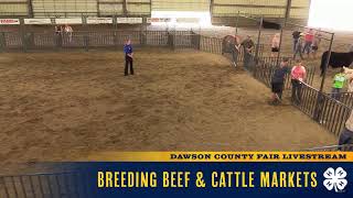 Market Beef Show | 2022 Dawson County Fair | LIVE EVENT