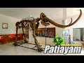 Patiayam Kudus Archaeological Museum, Indonesian Walking Tour 4K