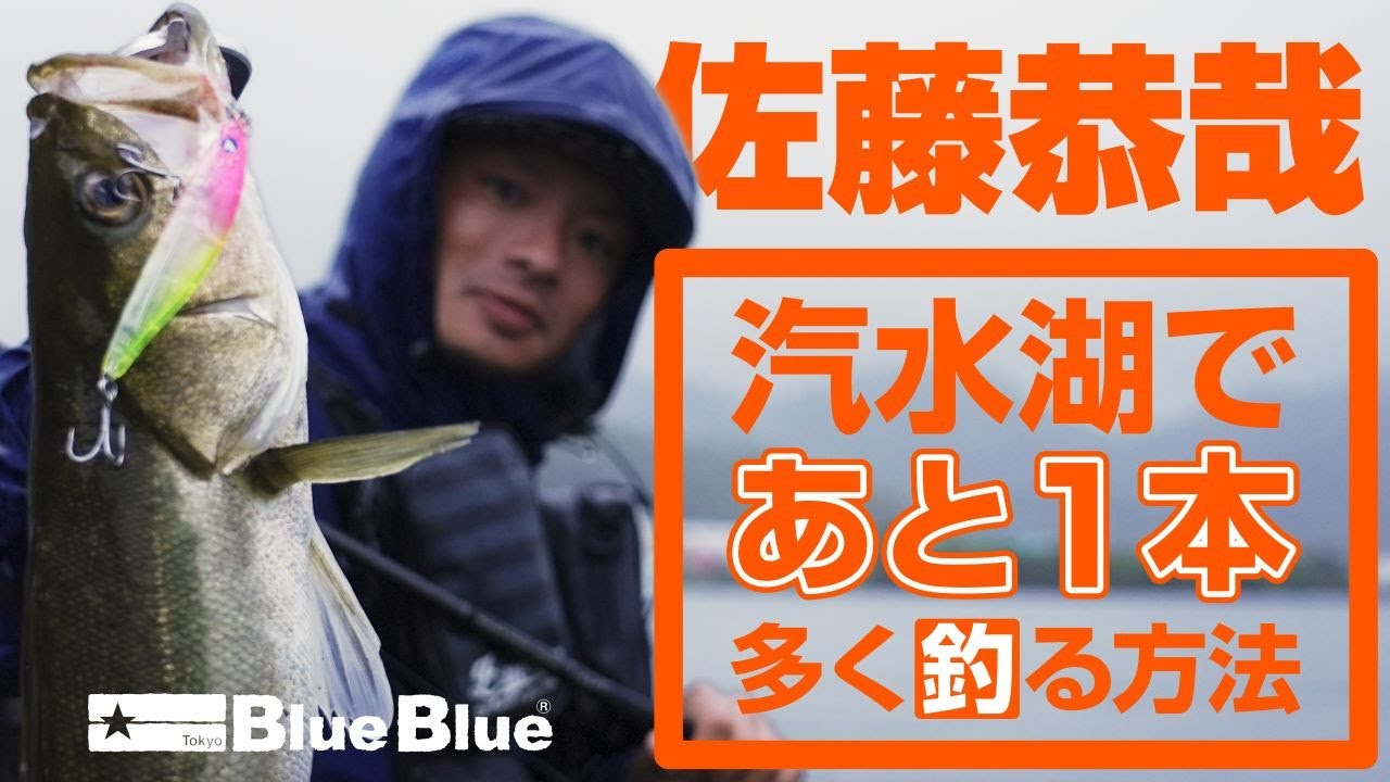 Осенняя рыбалка! Как ловить рыбу в солоноватой воде