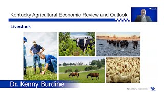 2020 Economic Review and Outlook | Livestock