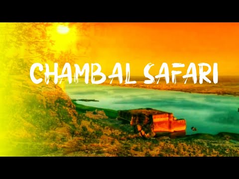 CHAMBAL SAFARI, MORENA || A Cinematic Travel film