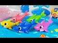 Pinkfong Baby Shark Family aquarium Fish swims and pororo toys baby doll play 핑크퐁 상어가족 어항 장난감 - 토이몽