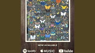 You're One of A Kind