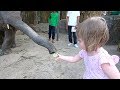 Дети и животные.В гостях у тайского друга на ферме слонов. Аленка кормит маленького слоника