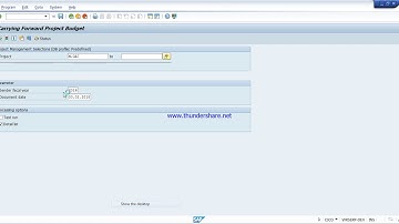 CJCO Budget Carry Forward in SAP PS