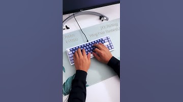 Pavlov x WingTree Yunie Linears #mechanicalkeyboard #lofi  #soundtest