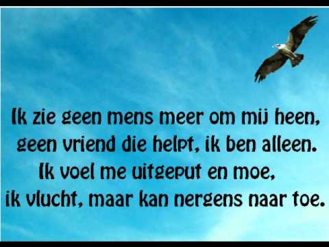 De Bromvlieg - U bent mijn schuilplaats