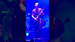 Daughtry "Life After You"