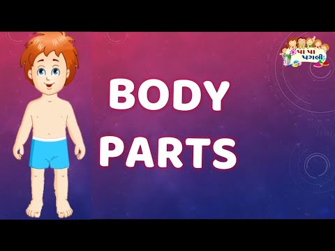 Body Parts Name | Human Body Parts Name with Picture - YouTube