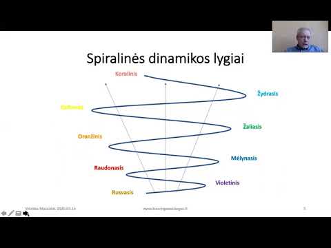 Video: Spiralės Dinamikos Teorija Didžiojo Poslinkio Metu