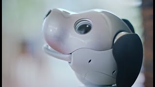 New story with aibo - Sony aibo 2018 - robot dog | ロボット犬