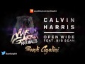 Martin Garrix - Animals .vs. Open Wide - Calvin Harris (santicigalini Mashup)
