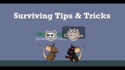 How To Get Better In Surviving? (Couple Tips & Tricks) #transformice