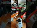 Living in 2050 with these Smart Gadgets! 🚀 - Oddware Tech #shorts