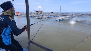 13/05/2024 Trip Mancing at Sangkar Sungai Udang Penang