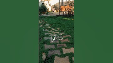 سورة يونس - وما كان الناس الا أمة واحدة