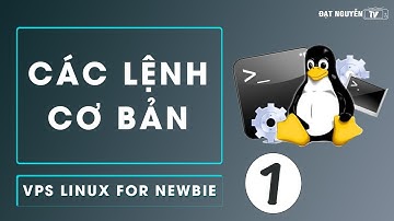 Các câu lệnh cơ bản trong linux, VPS Linux for Newbie [P1]