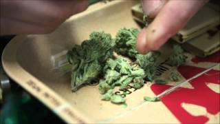 STRAIN OF THE WEEK "SERIAL KILLER OG" STRAIN OF THE WEEK "SERIAL KILLER OG"