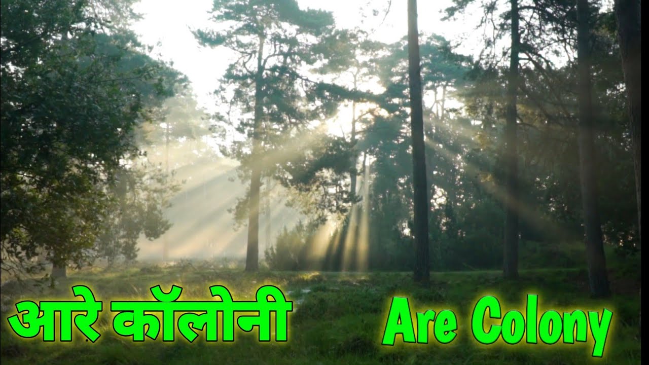 My frist vlog of 2022 Explore Mumbai 5 / Arey Colony 