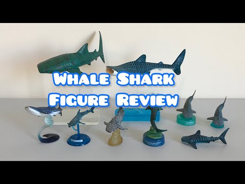 Whale Shark Figure Collection Review - Kaiyodo / Kitan Club / Epoch / Colorata