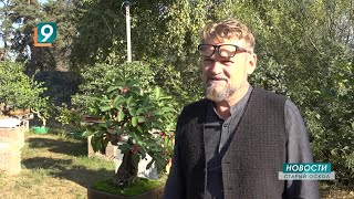 видео: Бонсай по-русски: появится ли в Осколе первый в стране сад миниатюрных деревьев? картинка: Бонсай по-русски: появится ли в Осколе первый в стране сад миниатюрных деревьев?