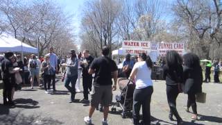 Philadelphia Sakura (Cherry Blossom) Festival of 2015