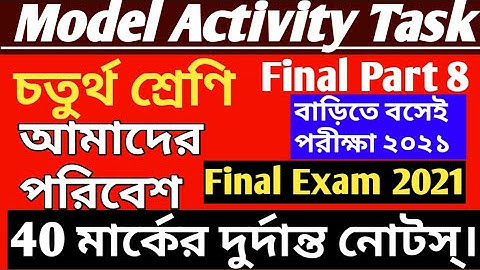 Class 4 Amader Poribesh Model Activity Task Part 8/Full Marks 40/Class 4 Model Activity Task/Final