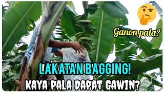 『Lakatan Bagging is Very Essential!』〘Ganon pala Dapat?〙