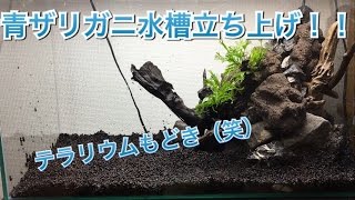 アクアリウム 青ザリガニ水槽立ち上げてみた 新水槽 フロリダブルーザリガニ Youtube アクアリウム 青ザリガニ水槽立ち上げてみた 新水槽 フロリダブルーザリガニ Youtube