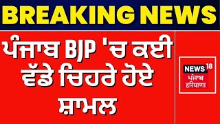 Punjab BJP | ਪੰਜਾਬ ਭਾਜਪਾ 'ਚ ਕਈ ਵੱਡੇ ਚਿਹਰੇ ਹੋਏ ਸ਼ਾਮਲ । Lok Sabha Elections 2024 | News18 Punjab