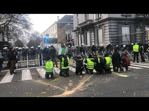 Police arrest 400 'yellow vest' protestors in Brussels