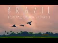 MILAN. BRAZIL (FOZ DO IGUACU+PANTANAL). HONEYMOON TRIP // 2015 (Part II)