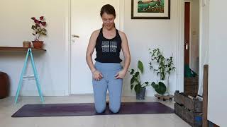 LYT-yoga: Explaining the core work. 20 min. (Level 1)