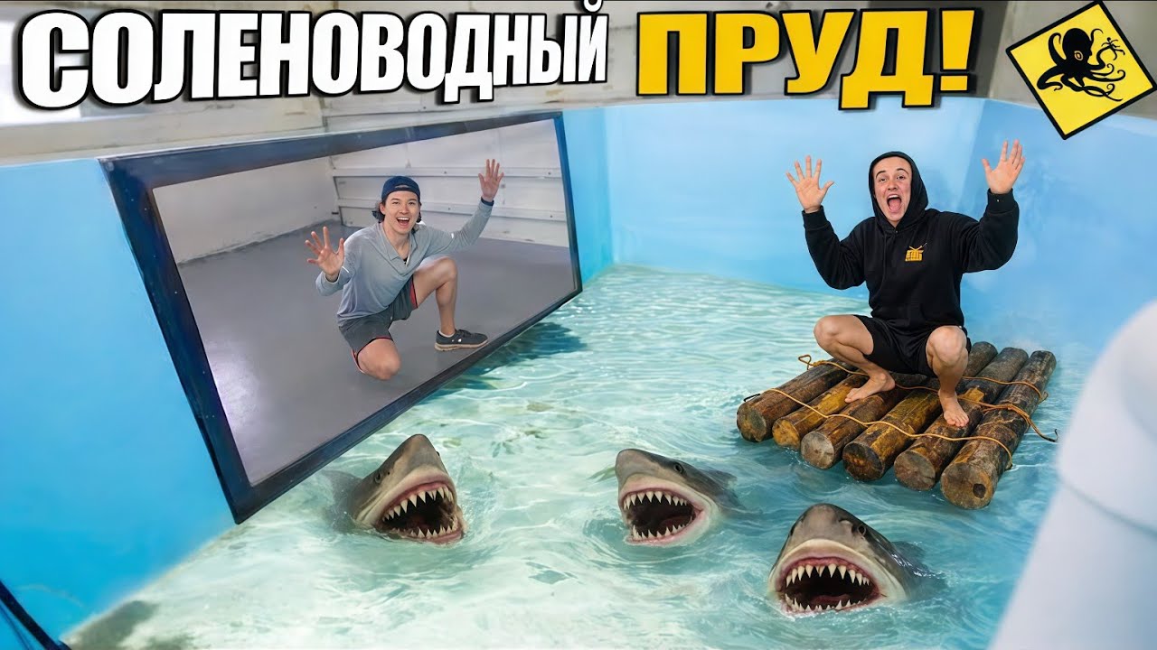 Я построил огромный солёный пруд с множеством опасных акул