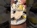 東京1安い牡蠣食べ放題