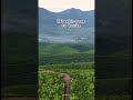 #love #flute #song #flutemusic #krishnaflutemusicrelaxing #kerala #farming