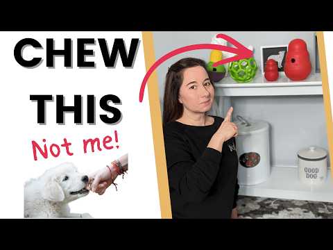 Best Chew Toys for Teething & Biting Puppies thumbnail
