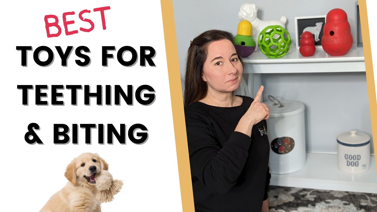 Лучшие жевательные игрушки для щенков, у которых режутся зубы и которые они кусают.