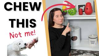 Best Chew Toys for Teething & Biting Puppies screenshot 2