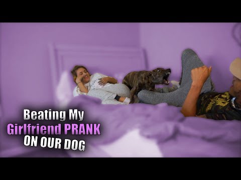 beating-my-girlfriend-prank-on-our-dog-(she-loses-it!)