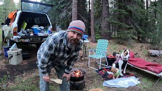 BEER DRINKING IN BEAR COUNTRY. Truck camping with my dogs.