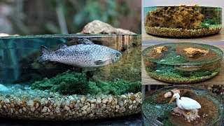 How to Make a Miniature Fish Pond Diorama | Resin Art
