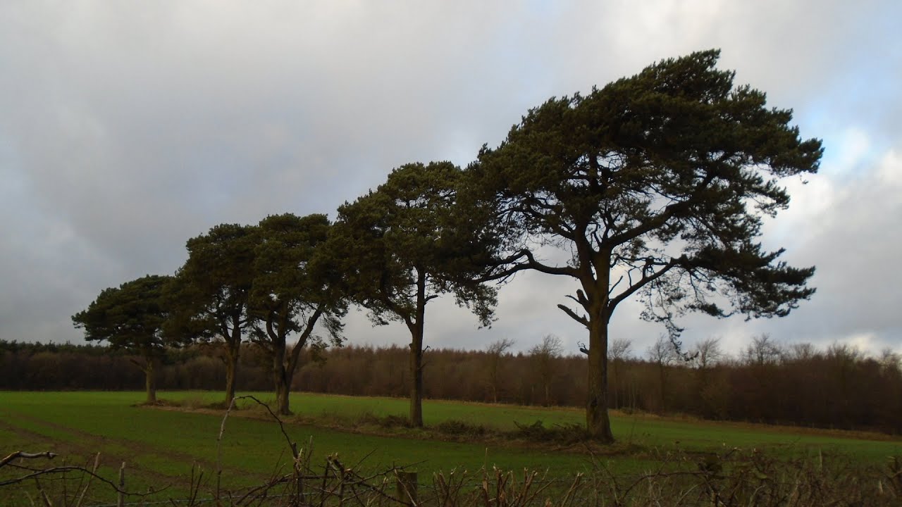 Delius: Violin Concerto - Tasmin Little.