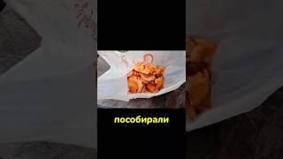 Когда коп не удался #коп #металлопоиск #лес #shorts